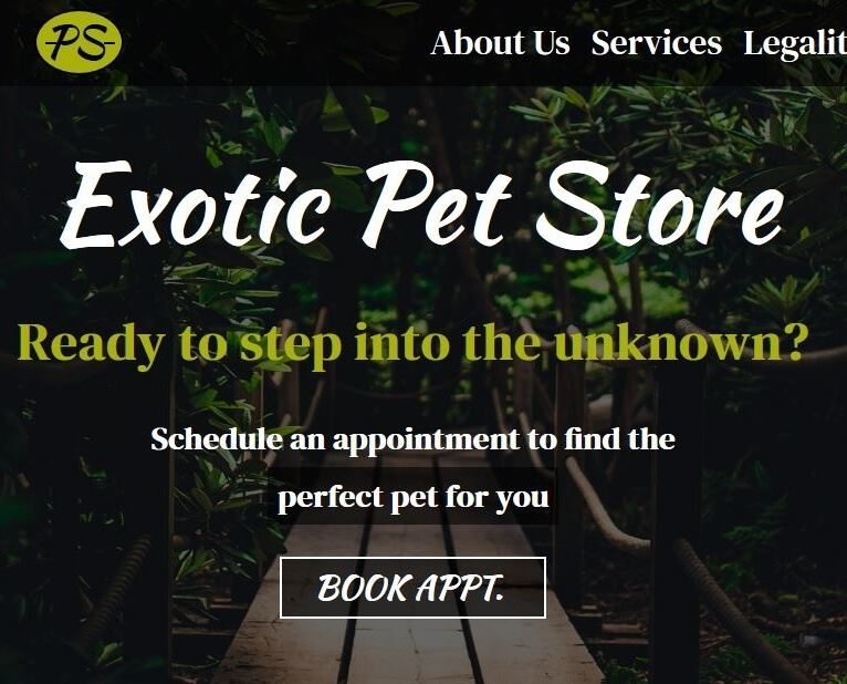 Store Landing Page.
